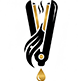 icon 3cs